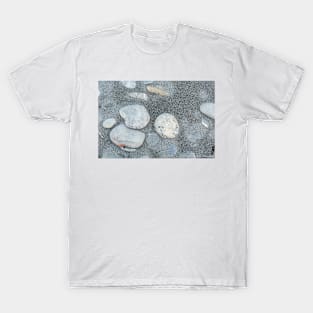 Stone scattered in sand on beach T-Shirt